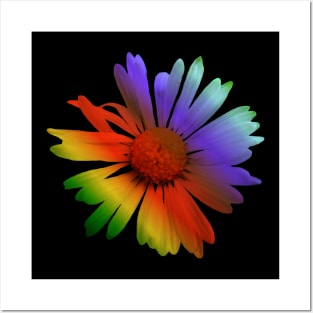 colorful rainbow flower, flowers, nature, blooms Posters and Art